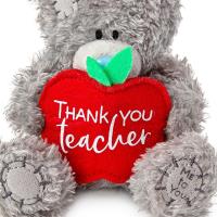 4" Thank You Teacher Apple Me To You Bear Extra Image 2 Preview